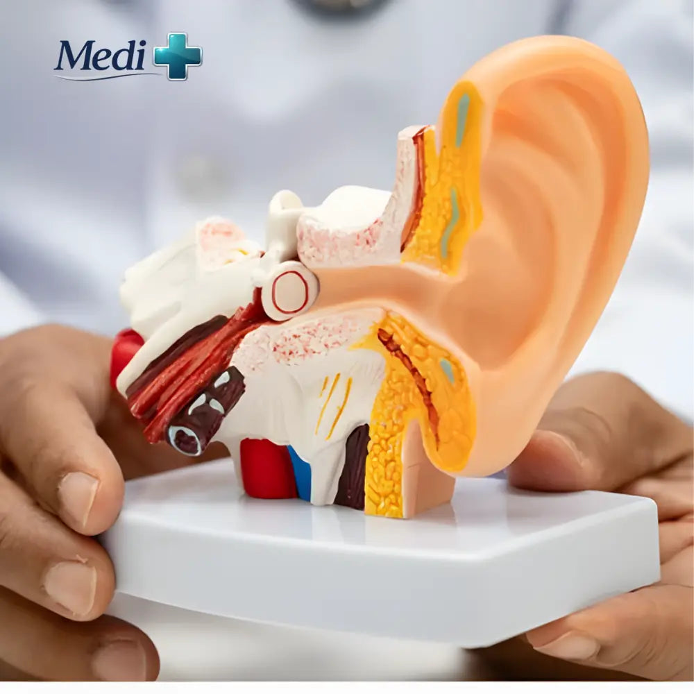 How to Choose the Right Anatomy Model for Medical Training