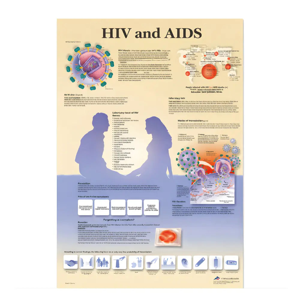 HIV Awareness Poster - Educational Wall Poster Analysis Of Human Diseases