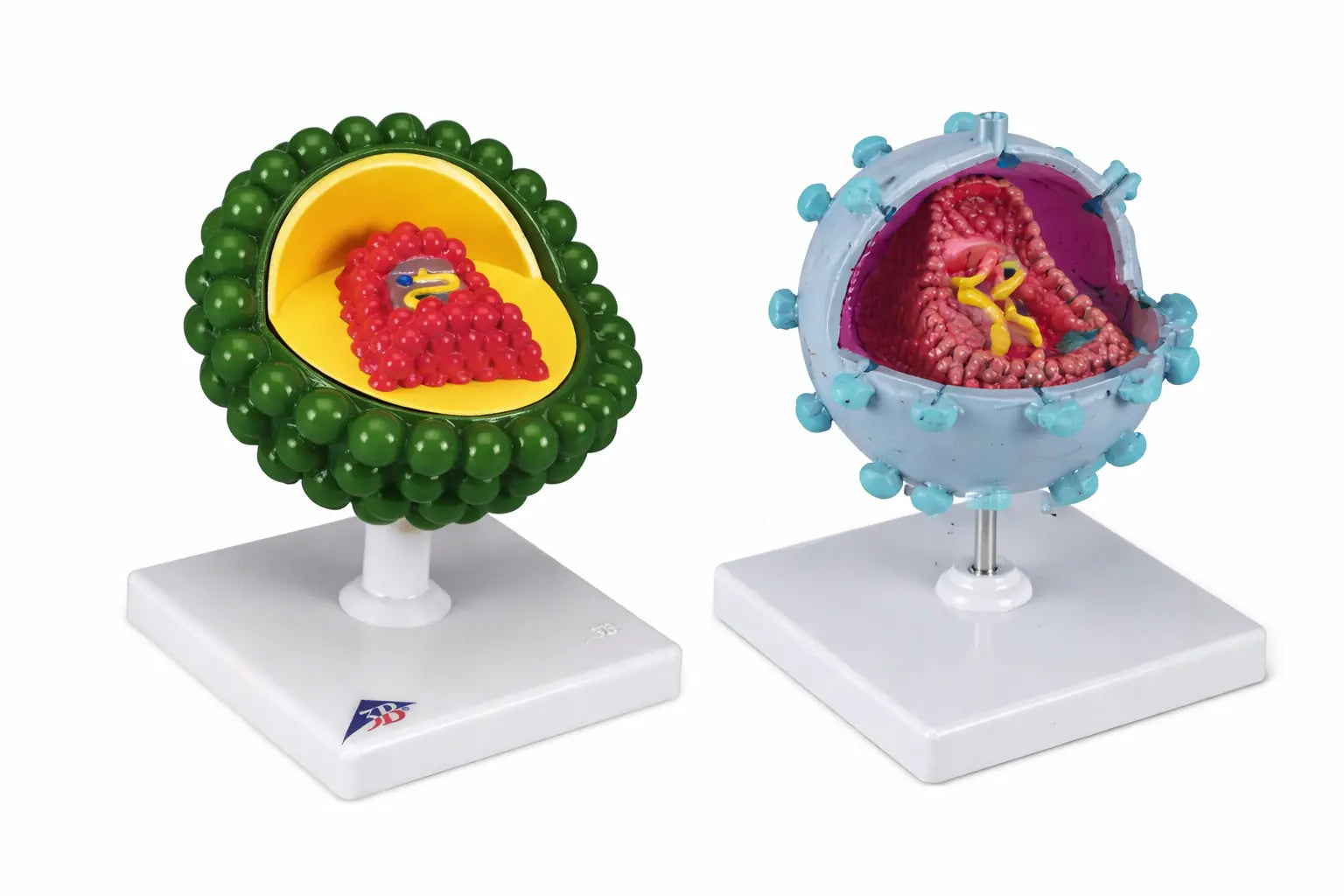 HIV Models UK