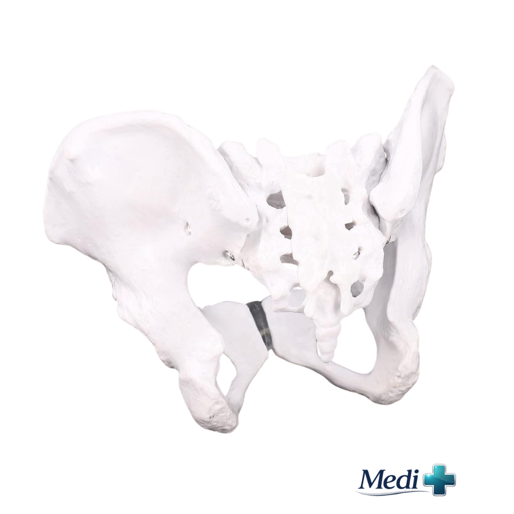 models of midwifery care