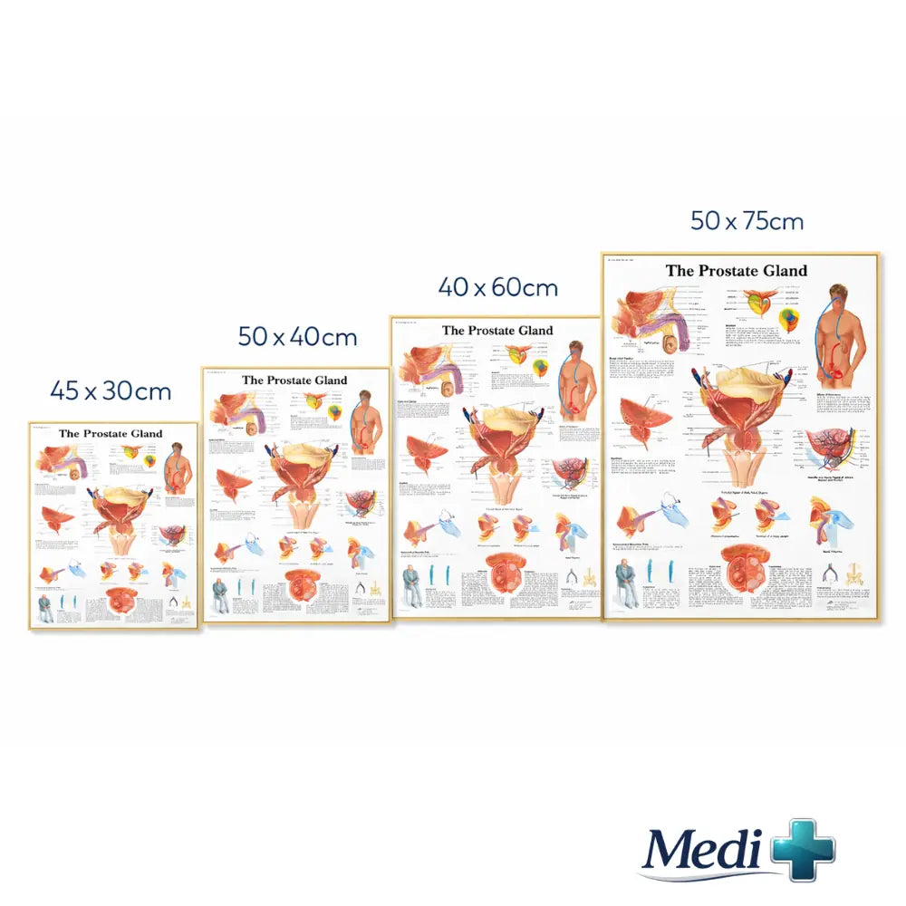 prostate cancer awareness month poster